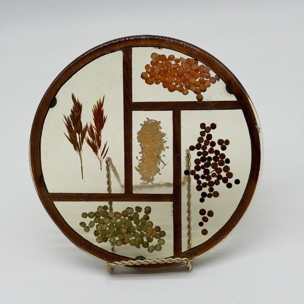 Vintage MCM Resin Trivet Wall Decor Dried Grains Seeds Grass Wood Frame 7.75in